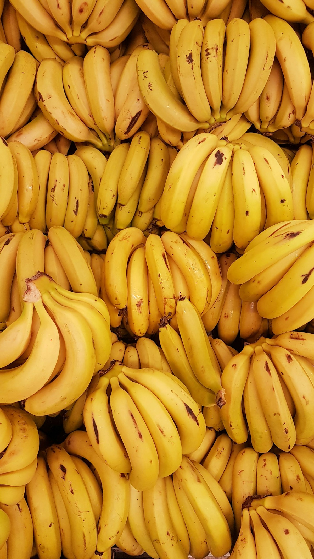 Ananás do Gana (MD II), Banana, Coco, Papaia, Frutas Secas, Inhame e Mel Natural - Gallery Image 2
